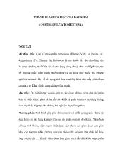 Chuyên đề Thành phần hóa học của dây khai (coptosapelta tomentosa)