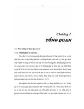 Luận văn Khảo sát ảnh hưởng của các oxit biến tính ( Fe2o3, Cao, Al2o3) đến quá trình đóng rắn của keo magiepphosphat