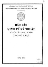 Báo cáo Kinh tế kỹ thuật Lò đốt rác công nghiệp công suất 80KG/h