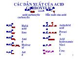 Các dẫn xuất của acid carboxylic