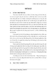 Đề tài Nâng cao hiệu quả và hạn chế rủi ro trong hoạt động kinh doanh bảo hiểm của Bảo Minh An Giang