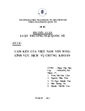 Tiểu luận Cam kết của Việt Nam với WTO: lĩnh vực dịch vụ chứng khoán