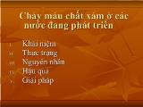 Báo cáo Chảy máu chất xám ở các nước đang phát triển