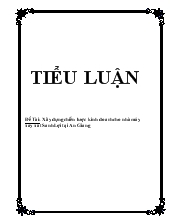 Tiểu luận Xây dựng chiến lược kinh doanh cho nhà máy xay xát Sanh Lợi tại An Giang