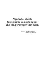 Ebook Nguồn tài chính trong nước và nước ngoài cho tăng trưởng ở Việt Nam