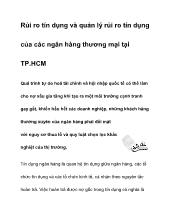 Bài viết Rủi ro tín dụng và quản lý rủi ro tín dụng của các ngân hàng thương mại tại TP.HCM