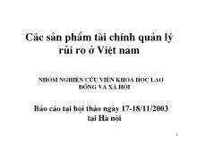 Báo cáo Các sản phẩm tài chính quản lý rủi ro ở Việt nam