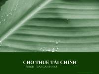 Báo cáo Cho thuê tài chính