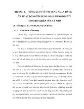 Báo cáo Thực trạng hoạt động tín dụng đối với dnv&n tại ngân hàng tmcp quốc tế chi nhánh tp. Hồ Chí Minh