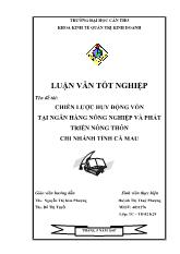 Đề tài Chiến lược huy động vốn tại NHNo&PTNT chi nhánhTỉnh Cà Mau