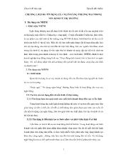 Đề tài Tình hình rủi ro tín dụng tại ngân hàng đầu tư và phát triển lào trong những năm gần đây