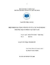 Luận văn Biện pháp gia tăng vốn tự có của các ngân hàng thương mại cổ phần tại Việt Nam