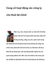 Tiểu luận Củng cố hoạt động các công ty cho thuê tài chính