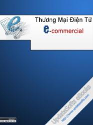 Báo cáo tổng quan về thương mại điện tử(E-Commerce)