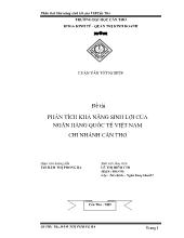 Luận văn Phân tích khả năng sinh lờicủa ngân hàng quốc tế Việt Nam chi nhánh Cần Thơ