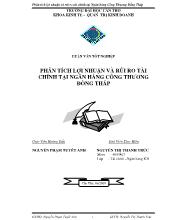 Luận văn Phân tích lợi nhuận và rủi ro tài chính tại ngân hàng công thương Đồng Tháp