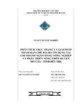 Luận văn Phân tích thực trạng và những giải pháp nhằm hạn chế rủi ro tín dụng tại Ngân hàng Nông nghiệp và Phát triển Nông thôn chi nhánh Huyện Mỏ Cày