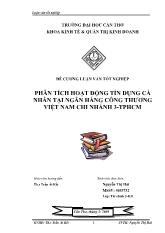 Luận văn Thực trạng hoạt động tín dụng cá nhân tại Ngân hàng Công Thương Việt Nam Chi nhánh 3-TPHCM