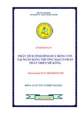 Khóa luận Phân tích tình hình huy động vốn tại Ngân hàng thương mại cổ phần Phát triển Mê Kông