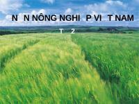 Đề tài Đặc điểm nông nghiệp Việt Nam