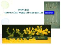 Đề tài Ethylene trong công nghệ sau thu hoạch