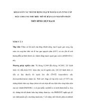 Đề tài Khảo sát các nhánh động mạch ngoài gan cung cấp máu cho ung thư biểu mô tế bào gan nguyên phát trên hình chụp mạch