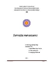Đề tài Serratia mercescens