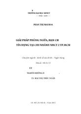 Luận văn Giải pháp phòng ngừa, hạn chế rủi ro tín dụng tại Chi nhánh ngân hàng công thương 2 TP.HCM