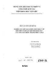 Đề tài Nghiên cứu chế tạo lò đốt chất thải y tế tiên tiến có bộ lọc khí thải bắng xúc tác chứa đất hiếm thương hiệu Camat