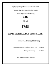 Đề tài IMS ( IP MULTIMEDIA SUBSYSTEM )