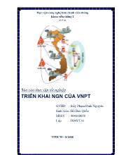 Báo cáo Triển khai NGN của VNPT