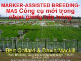 Công cụ mới trong chọn giống cây trồng