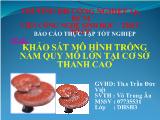 Đề tài Khảo sát mô hình trồng nấm quy mô lớn tại cơ sở thanh cao