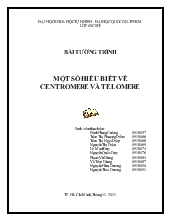 Đề tài Một số hiểu biết về centromere và telomere