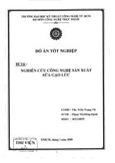 Đề tài Nghiên cứu công nghệ sản xuất sữa gạo lức