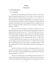 Đề tài Nghiên cứu công nghệthu hồi máu cá trong nước thải chế biến thủy sản tại công ty TNHH Xuất nhập khẩu Thủy sản An Phát –Tiền Giang
