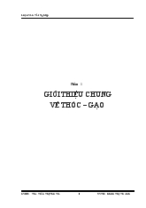 Đề tài Tìm hiểu khả năng ứng dụng các loại gạo trong sản xuất bún tươi và bánh tráng khô