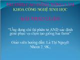Đề tài Ứng dụng chỉ thị phân tử AND xác định gene phục vụ chọn tạo giống lúa thơm