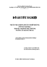 Đồ án Nhân nhanh plb mãn thiên hồng (doritaenopsis sp.) trong một số hệ thống nuôi cấy khác nhau