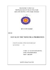 Đồ án Sản xuất thử nem chua probiotics