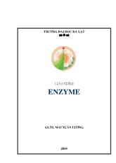 Giáo trình enzyme