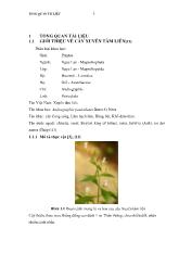 Giới thiệu về cây xuyên tâm liên