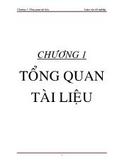 Giới thiệu về vi khuẩn Lactic