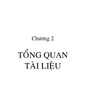Khảo sát rối loạn chuyển hóa lipid lipoprotein và dấu ấn tiêu xương ở phụ nữ tiền mãn kinh và mãn kinh
