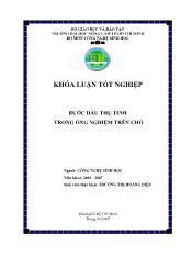Luận văn Bước đầu thụ tinh trong ống nghiệm trên chó