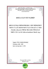 Luận văn Khảo sát đặc điểm sinh học, chu trình phát triển và gây bệnh nhân tạo tầm gửi lá nhỏ (taxillus chinensis) thuộc họ loranthaceae trên cây cao su (hevea brasiliensis muell. arg.)