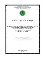 Luận văn Khảo sát sự sinh trưởng của saccharomyces sp. trên môi trường cám gạo, rỉ đường và một số yếu tố ảnh hưởng đến sức sống của chúng trong chế phẩm