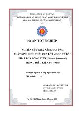 Luận văn Nghiên cứu khả năng đáp ứng phát sinh hình thái của lát mỏng tế bào phát hoa đồng tiền (gerbera jamesonii) trong điều kiện in vitro