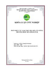 Luận văn Phân biệt các loại thịt heo, bò, cừu bằng phương pháp multiplex pcr