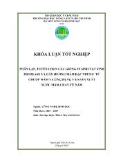 Luận văn Phân lập, tuyển chọn các giống vi sinh vật sinh protease và gây hương mắm đặc trưng từ chượp mắm và ứng dụng vào sản xuất nước mắm chay từ nấm